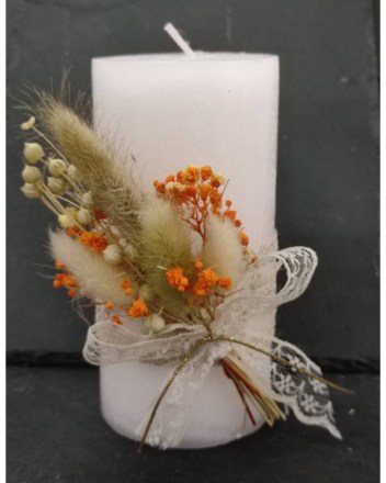 2  α  κερι λευκο αποξυραμενα (1)